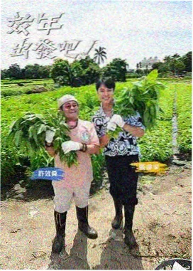 观察综艺推荐:凌晨三点的便利店